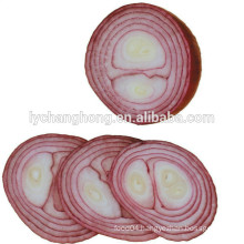 2014 new crop high quality Shandong red onions 5-7cm, 6-8cm, 8cm up